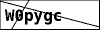 Text to Identify